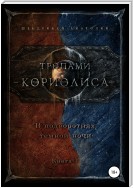 Тропами Кориолиса. В подворотнях темной ночи