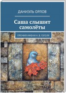 Саша слышит самолёты. Премия имени Н. В. Гоголя