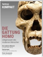 Spektrum Kompakt - Die Gattung Homo