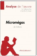 Micromégas de Voltaire (Analyse de l'oeuvre)