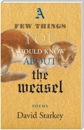 A Few Things You Should Know About the Weasel