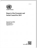 Report of the Economic and Social Council for 2013