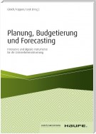 Planung, Budgetierung und Forecasting - inkl. Arbeitshilfen online