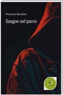 Sangue nel parco