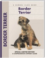 Border Terrier