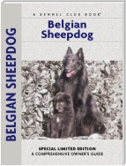 Belgian Sheepdog