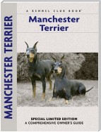 Manchester Terrier