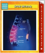 Spine (Human) Speedy Study Guides