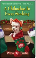 A Chihuahua in Every Stocking