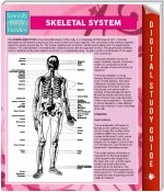 Skeletal System