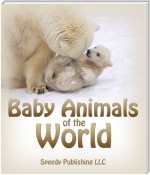 Baby Animals Of The World