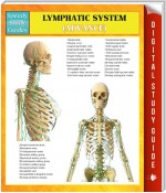 Lymphatic System (Advanced) Speedy Study Guides