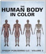 The Human Body In Color Volume 2