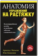 Анатомия упражнений на растяжку (STRETCHING ANATOMY)