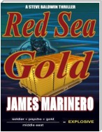 Red Sea Gold: A Steve Baldwin Thriller: Soldier + Psycho + Gold / Middle East = Explosive!