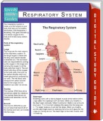 Respiratory System (Speedy Study Guides)