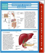 Digestive System (Humans) (Speedy Study Guides)