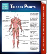 Trigger Points (Speedy Study Guides)