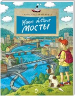 Какие бывают мосты