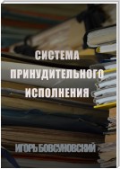 Система принудительного исполнения. Схема взыскания долгов. Проблемы взыскания и возможные пути их решения