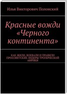 Красные вожди «Черного континента». Как жили, воевали и правили просоветские лидеры тропической Африки