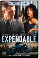 Secret Agents, Secret Lives 2: Expendable