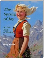 The Spring of Joy: A Little Book of Healing