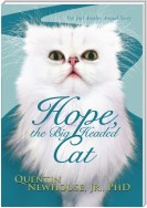 Hope, the Big Headed Cat