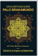 Palo Brakamundo
