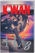 The Fix 3