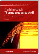 Praxishandbuch Thermoprozesstechnik