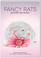 Fancy Rats