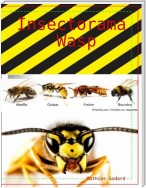 Insectorama Wasp