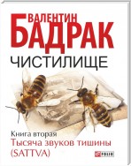 Чистилище. Книга 2. Тысяча звуков тишины (Sattva)