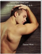Juicy Gay Love Lust Quickie Reads Books 1 to 6
