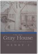 The Big Gray House
