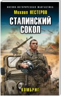 Сталинский сокол. Комбриг