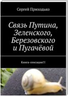 Связь Путина, Зеленского, Березовского и Пугачёвой. Книга-сенсация!!!