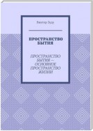 Пространство бытия. Пространство бытия – основное пространство жизни