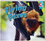 All About Flying Foxes