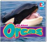 All About Orcas