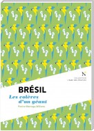 Brésil : Les colères d'un géant