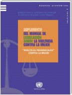 Suplemento del Manual de Legislación sobre la Violencia contra la Mujer