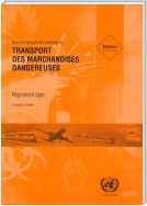 Recommandations Relatives au Transport des Marchandises Dangereuses: Règlement Type - Seizième édition révisée