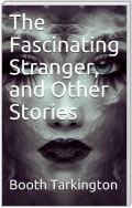 The Fascinating Stranger And Other Stories