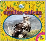 Las águilas calvas