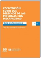 Convención sobre los derechos de las personas con discapacidad Guía de formación Nº 19