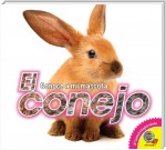 El conejo