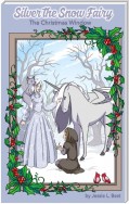 Silver the Snow Fairy
