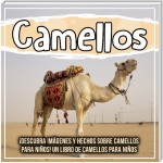 Camellos: ¡Descubra imágenes y hechos sobre camellos para niños! Un libro de camellos para niños